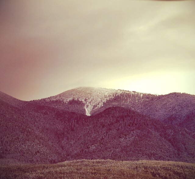 V R's photo