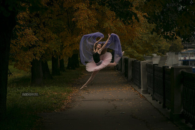 Vladimir Smirnov's photo