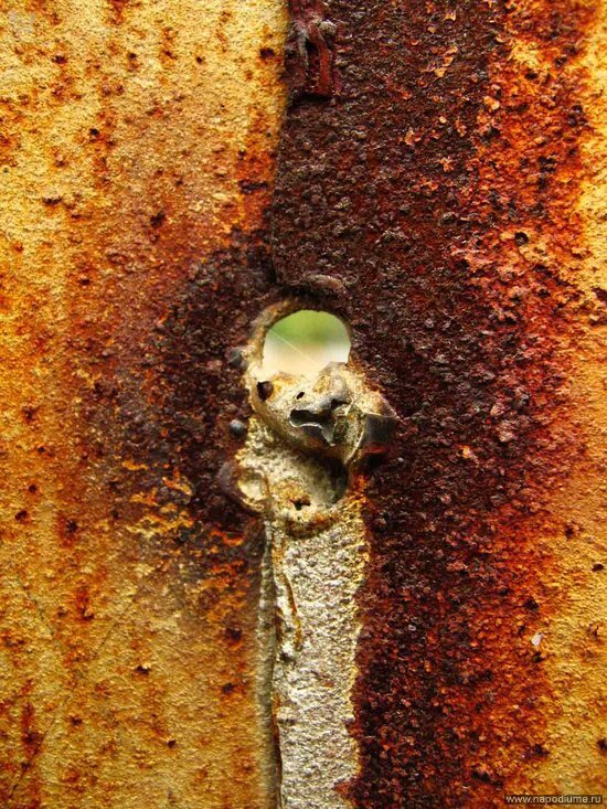 Katrin vinil's photo