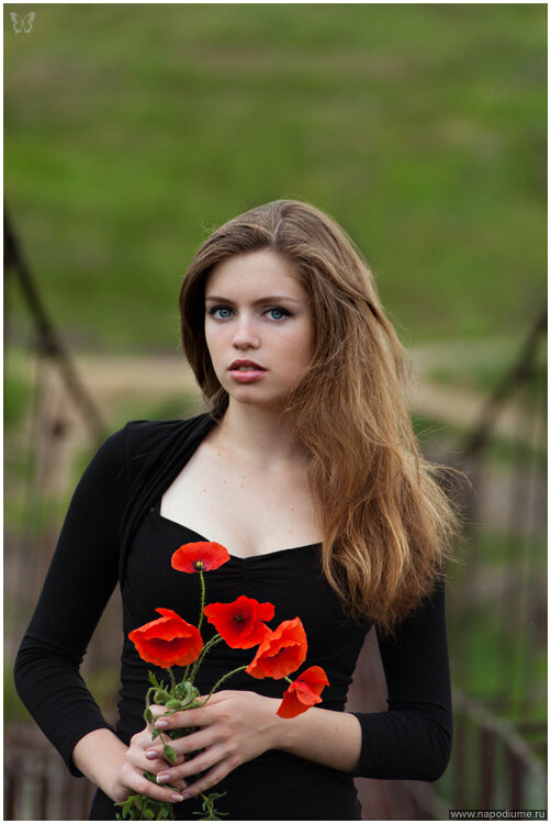 konstantin strelkov's photo