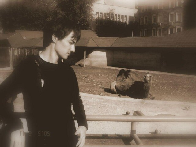 Крадущийся в Ночи's photo