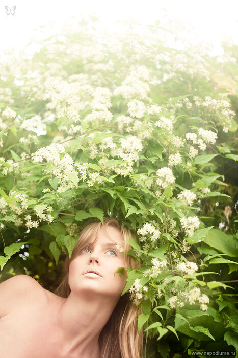 Anastasia Zharkova's photo