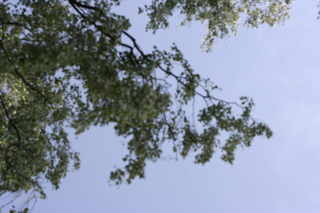 Oleg Terehov's photo