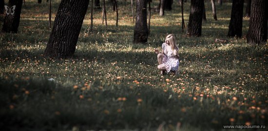 照片Nikolay Kotlyar