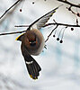 Almi's photo