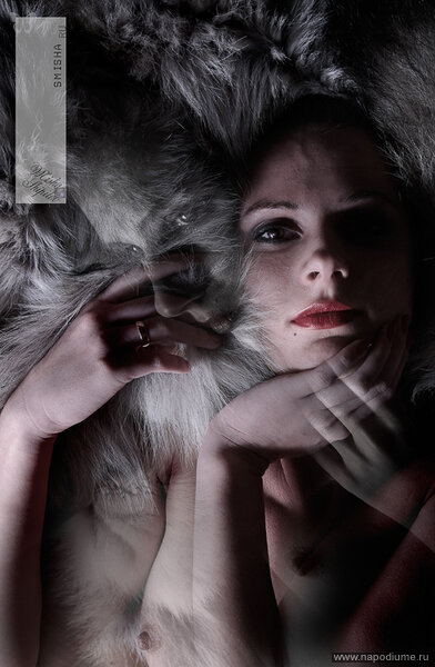 Фото Misha smisha Shipilov
