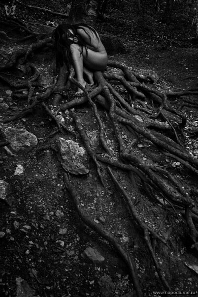 Alex Berkun's photo