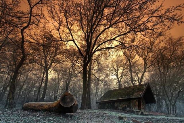 Petr Sidenko's photo