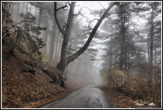Mihail Tolstihin's photo