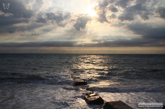 Vladimir Vdovin's photo