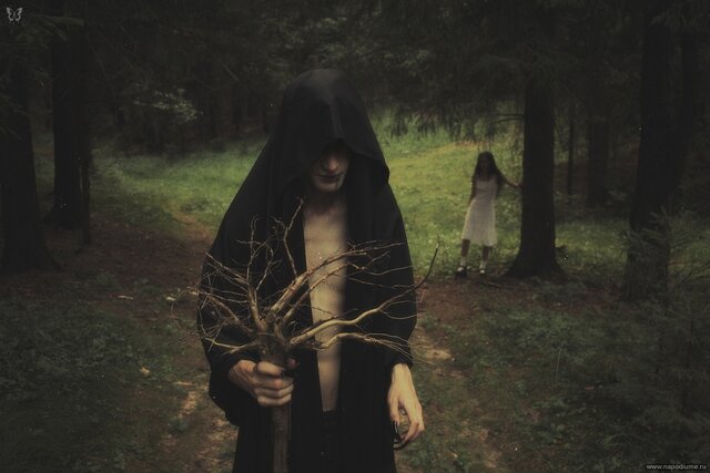 Forest