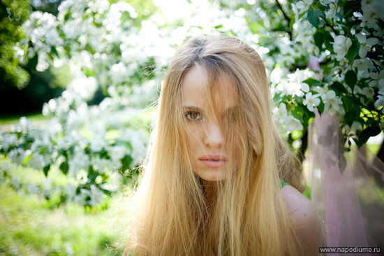 Aleksej Sokolov's photo