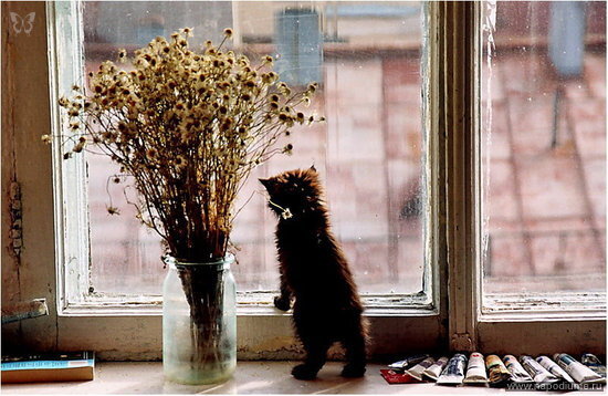 Evgenia Smolanskaa's photo