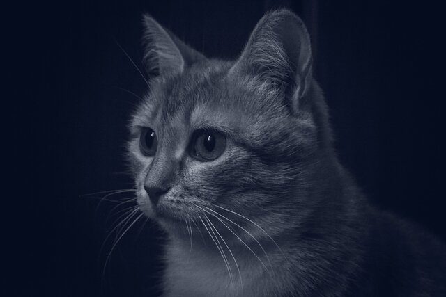 Aleksandr Barinov's photo