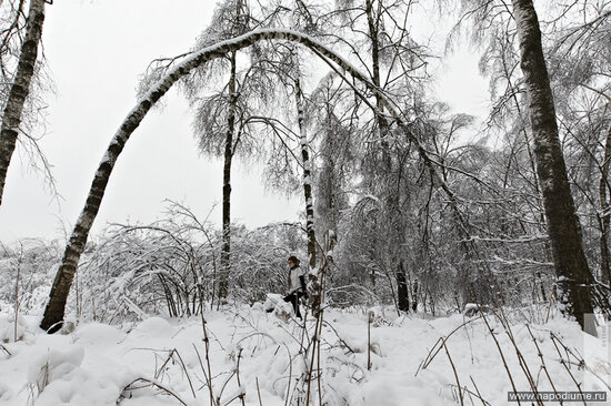 Фото Misha smisha Shipilov