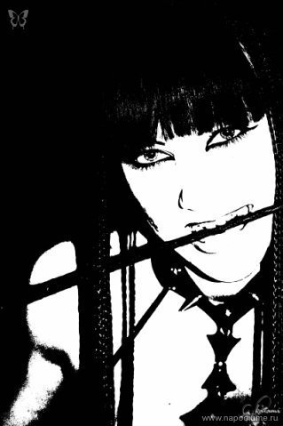 Фото Mushi Katami