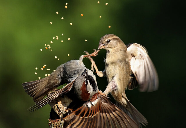 dmitrij mitin's photo