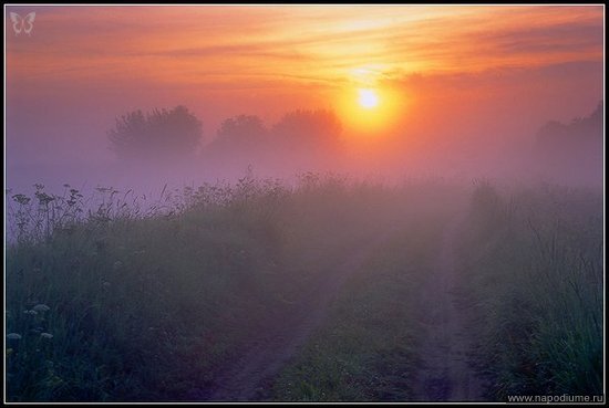 Помосковье. Август.