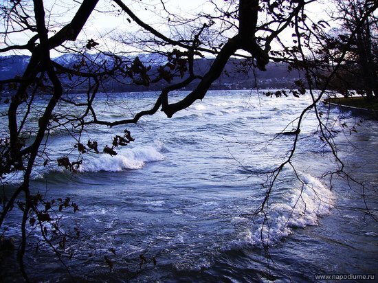 Nature