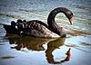 Almi's photo