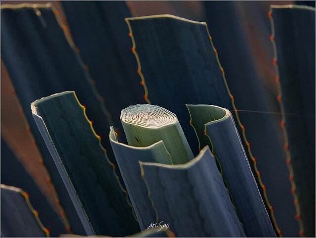 Igor Smolnikov's photo
