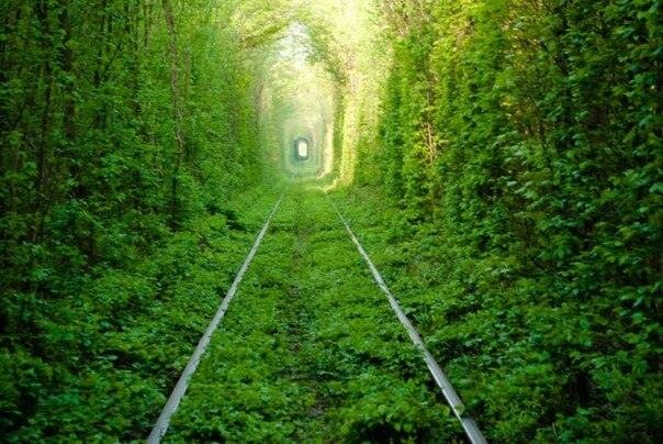 Photo %s