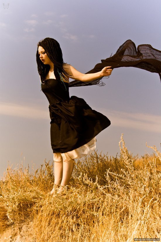 Tesh Photograph's photo