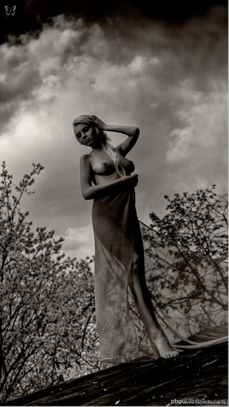 Serg Vostrikov's photo