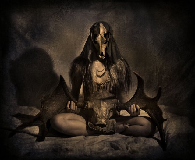Anzhelika Sokolnikova's photo