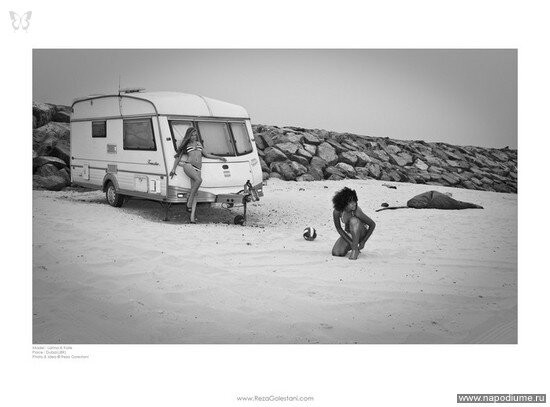 Reza Golestani's photo