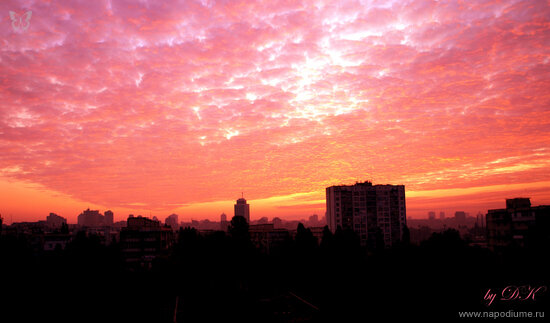 Dar'a Kolomiec's photo