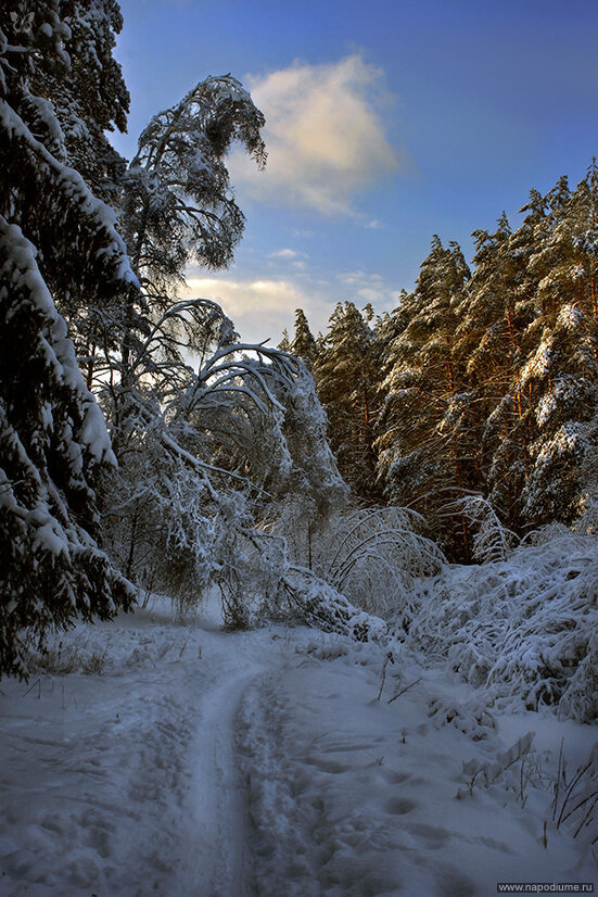 Фото Andrej Vojcehov
