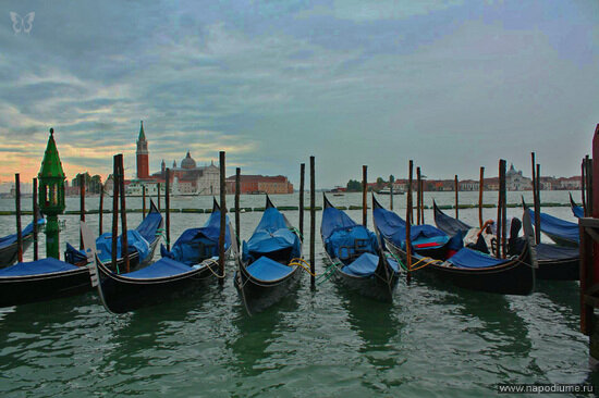 Irina Macina's photo