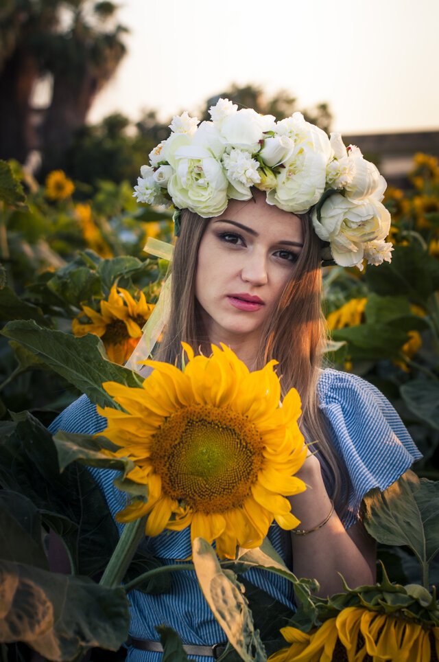 Alex Lerner's photo