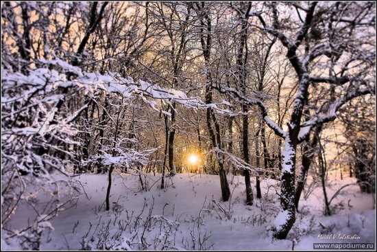Mihail Tolstihin's photo