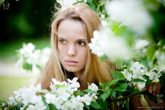 Aleksej Sokolov's photo