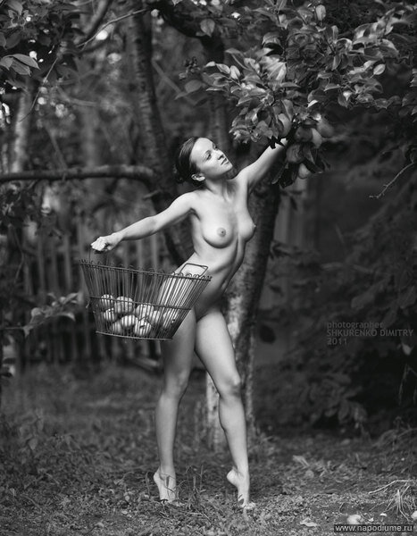 Ева