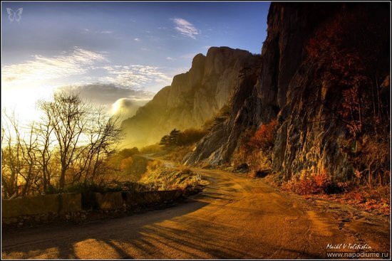 Mihail Tolstihin's photo