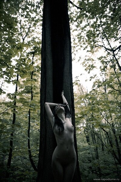 Konstantin Alexandroff's photo