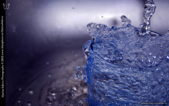 Maria Sakova's photo