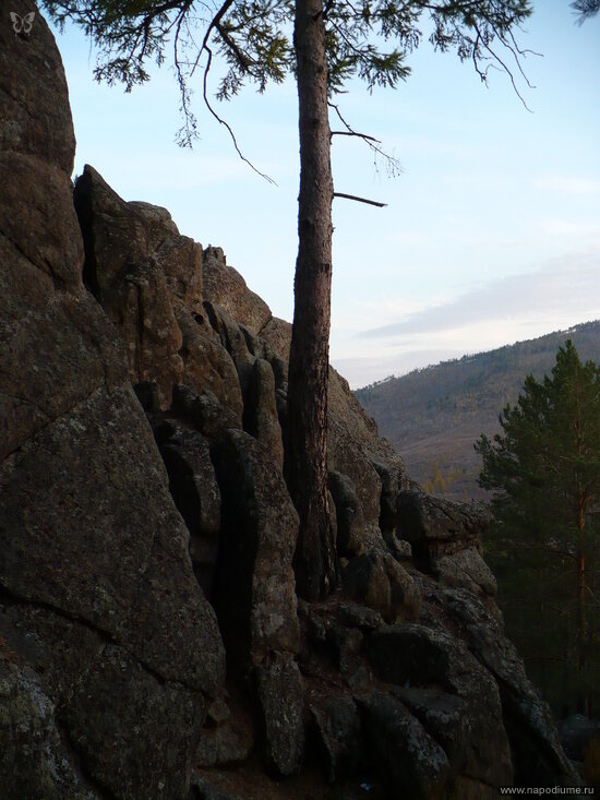 Andrej van der Woodsen's photo