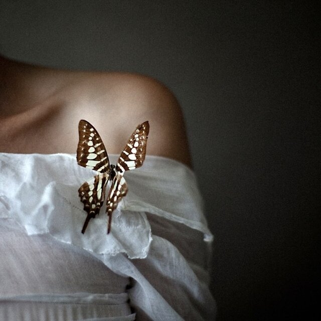 shourum Poetry Fashion Arbat's photo