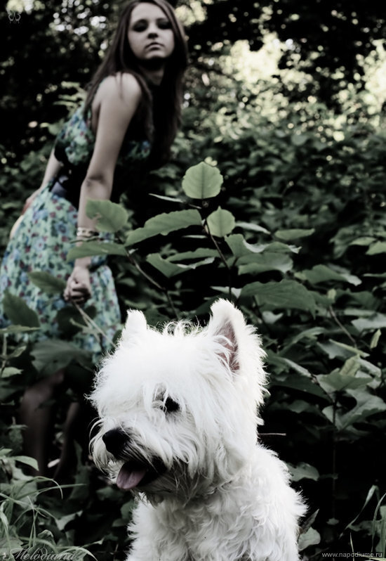 Evgenia Kornilova's photo