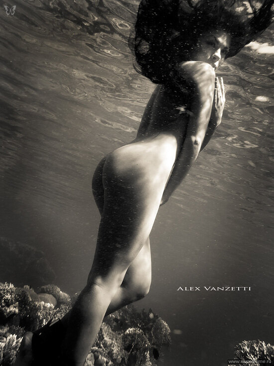 Alex Vanzetti's photo