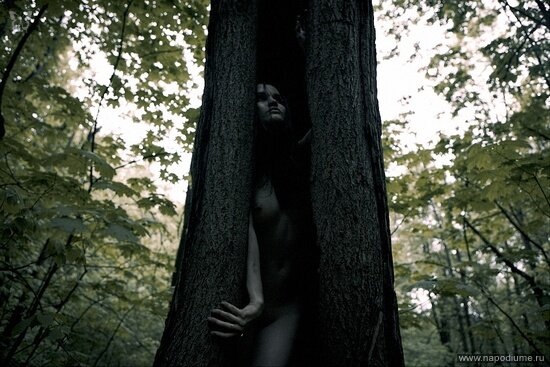 Фото Konstantin Alexandroff