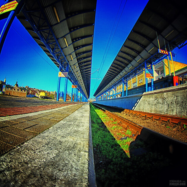 Фото Дмитрий Кванза