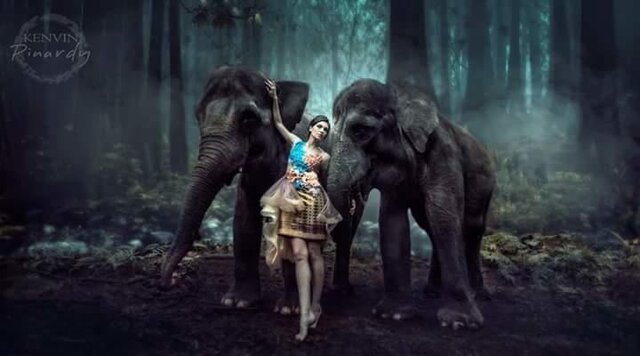Foto Olga Kopyova