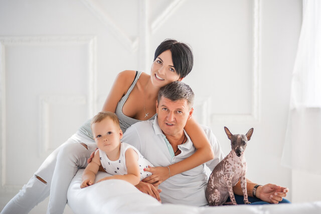 дети, студия, фотосессия, животные