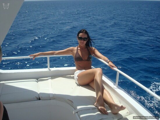2010 год