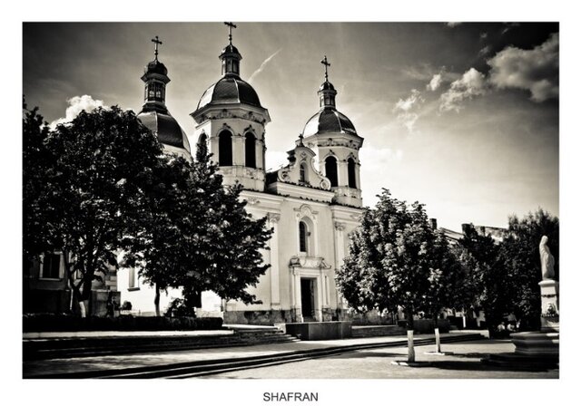 Shafran's photo